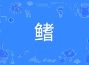 开云官方在线-鳍壻-开云官方在线